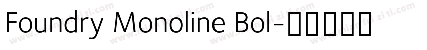 Foundry Monoline Bol字体转换